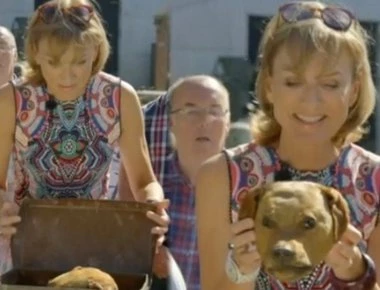 Έδειξαν κεφάλι σκύλου «στον αέρα»! «Πάγωσαν» οι τηλεθεατές – Βίντεο